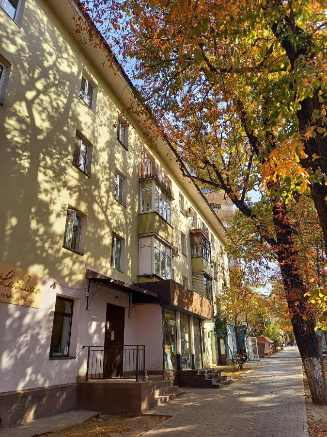 "В Центре Города" Квартира - "Downtown" Apartment Almaty Esterno foto