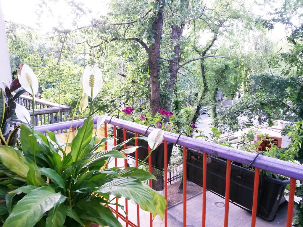 "В Центре Города" Квартира - "Downtown" Apartment Almaty Esterno foto